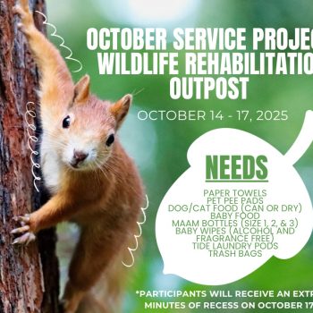 Green and White Photocentric National Squirrel Appreciation Day Greeting and Promotion Facebook Post